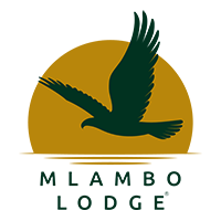 Mlambo-Logo-Logo-smaller.png