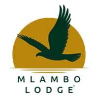 Mlambo-Logo-Logo-smaller.png